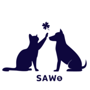 SAWS August 2024 Newsletter