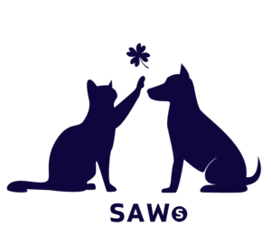 SAWS August 2024 Newsletter