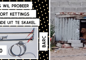 New Project: Longer Chains for Community Dogs