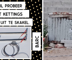 New Project: Longer Chains for Community Dogs