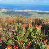 Hike - Strandveld Hiking Club - Xplorio™ Gansbaai