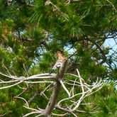 Hike - Strandveld Hiking Club - Xplorio™ Gansbaai