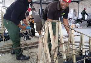 Fynbos Flower Exhibit: Grootbos Foundation Sneak Peek