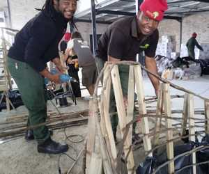 Fynbos Flower Exhibit: Grootbos Foundation Sneak Peek