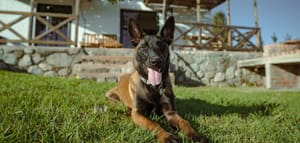 Pet-Friendly Accommodation at Stanford Hills Estate