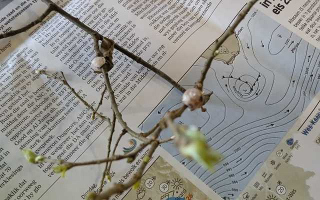 Blog_1_1_9_1726730764