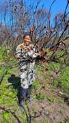 Sustainable Harvesting for the Future of Fynbos