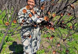 Sustainable Harvesting for the Future of Fynbos