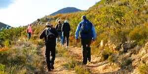Raka Wines Hike: 17 August 2024