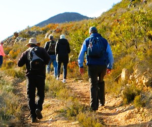 Raka Wines Hike: 17 August 2024