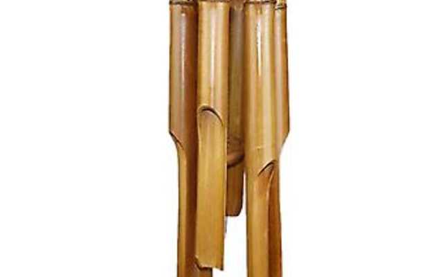 460632608_1045292664263620_8431764324351375006_n_1726823802