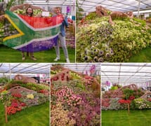 Chelsea Flowers in Stanford