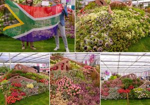 Chelsea Flowers in Stanford