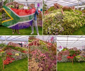 Chelsea Flowers in Stanford