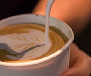 Tea Garden Menu by Raging Goose Coffee