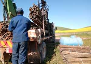 Vineyard Pine Poles Delivered to Raka Wines