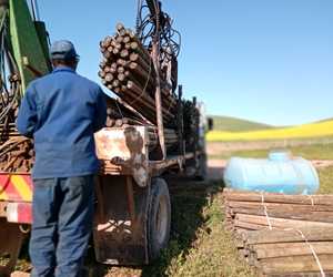 Vineyard Pine Poles Delivered to Raka Wines