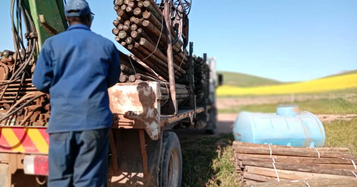 Vineyard Pine Poles Delivered to Raka Wines Fynbos Pole Depot