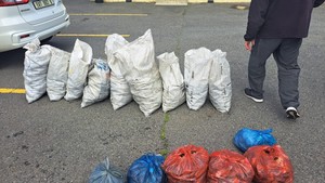 Verdagtes Vasgetrek vir Perlemoen, Kreef en Motordiefstal