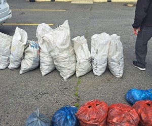 Verdagtes Vasgetrek vir Perlemoen, Kreef en Motordiefstal