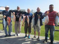 Birkenhead Boothengelklub - Gróót Visse, Móói Visse