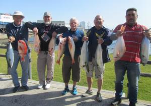 Birkenhead Boothengelklub - Gróót Visse, Móói Visse