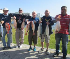 Birkenhead Boothengelklub - Gróót Visse, Móói Visse