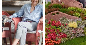 Explore Stanford with Sara During the Chelsea Flowers Show