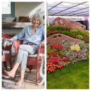 Explore Stanford with Sara During the Chelsea Flowers Show