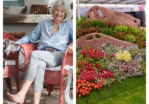 Explore Stanford with Sara During the Chelsea Flowers Show