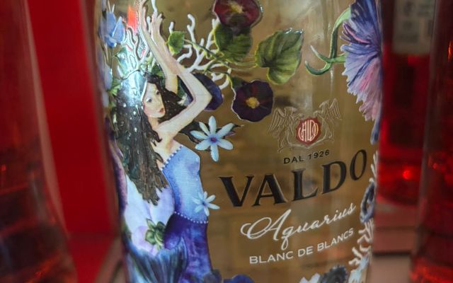 WhatsApp_Image_2024_09_26_at_10.52.51_1727350284