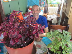 ‘Asma-mannetjie’ Voorbeeld vir Ander