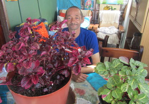 ‘Asma-mannetjie’ Voorbeeld vir Ander