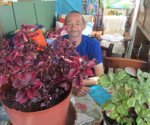 ‘Asma-mannetjie’ Voorbeeld vir Ander