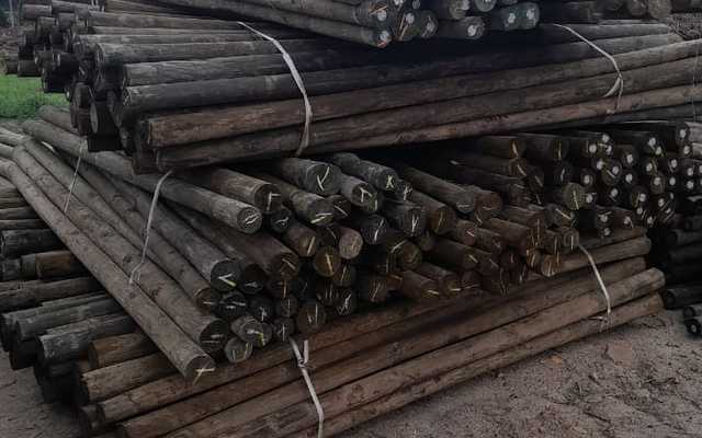 WhatsApp_Image_2024_09_23_at_13.36.56_1__1727439802