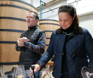 In Stock: Mullineux Chenin Blanc