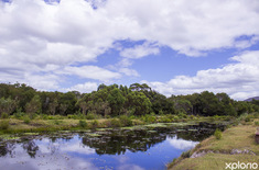 napier_accommodation_sielsalig_self_catering_cottage_natural_dam_for_swimming_1727678847