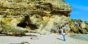 8 June 2024: Walker Bay Cape Nature Hike