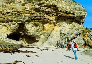 8 June 2024: Walker Bay Cape Nature Hike