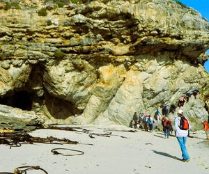 8 June 2024: Walker Bay Cape Nature Hike