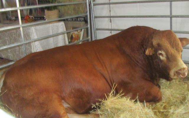 Nampo5_1727685824 Nampo5_1727685824