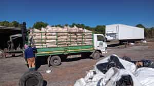 Stable Bedding Delivery to Klawervlei!
