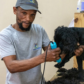 Dog Grooming - Pet Food Express - Xplorio™ Gansbaai