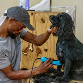Dog Grooming - Pet Food Express - Xplorio™ Gansbaai
