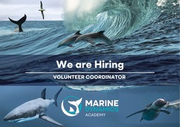 Join Marine Dynamics Academy as a Volunteer Coordinator!
