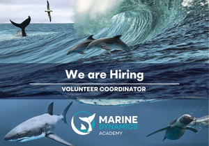 Join Marine Dynamics Academy as a Volunteer Coordinator!