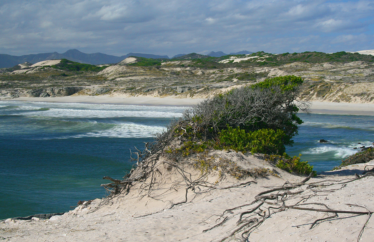 Coastal walk on the way to Die Plaat First Beach