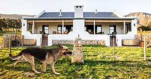 Experience Dog-Friendly Self-Catering Holidays at Stanford Hills