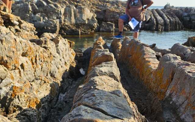 IMG_20240925_WA0004_1727936506