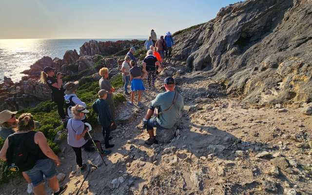 IMG_20240925_WA0005_1727936507